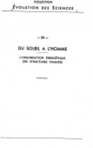 du-soleil-a-l-homme-193868-250-400