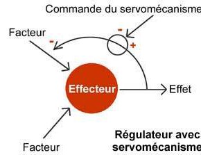 Les systèmes complexes en biologie, d’hier à aujourd’hui