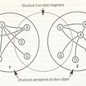 Biologie cérébrale, schémas laboritiens et imaginaire