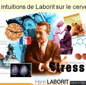 Les intuitions de Laborit sur le cerveau en pdf et bientôt en mp3 !