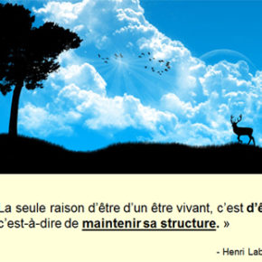 Les échos actuels du trop peu connu “Du soleil à l’Homme”, de Laborit